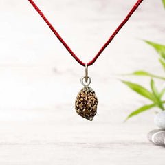 3 Mukhi Nepali Rudraksha - Teen Mukhi